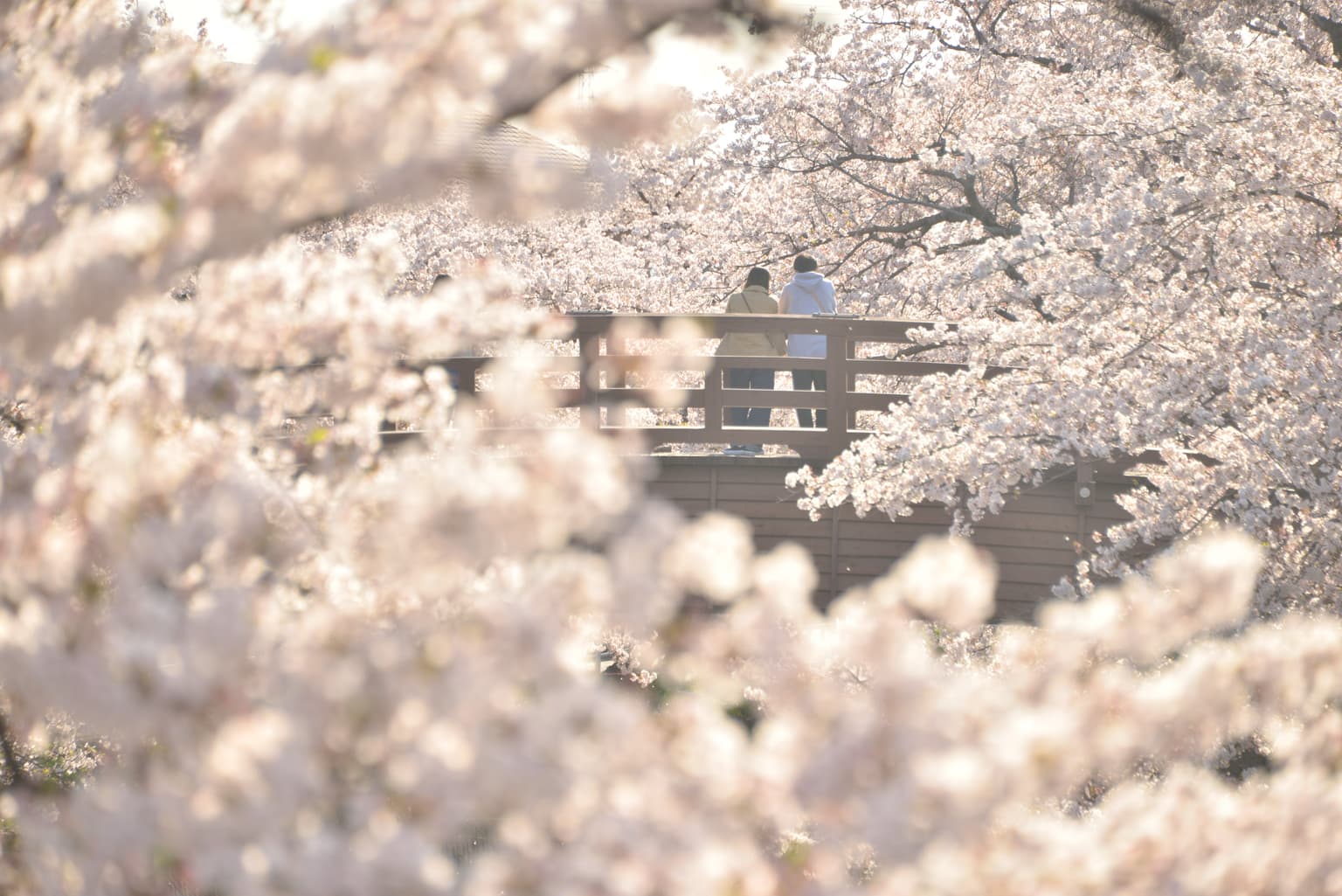 裁断橋（堀尾跡公園）
